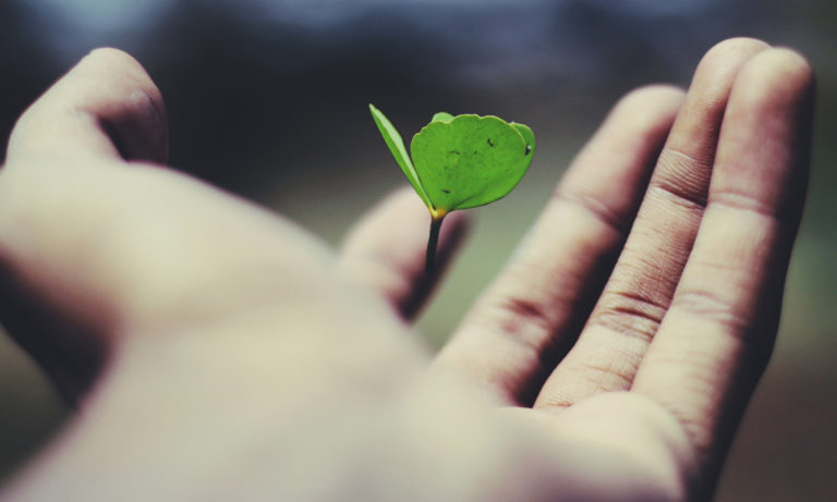 Coaching berufliche Neuorientierung 40+ Blog – Resilienztraining