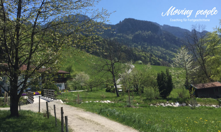 Coaching berufliche Neuorientierung 40+ Blog – Coaching Draußen!